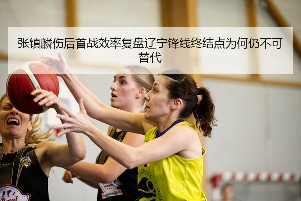 张镇麟伤后首战效率复盘辽宁锋线终结点为何仍不可替代